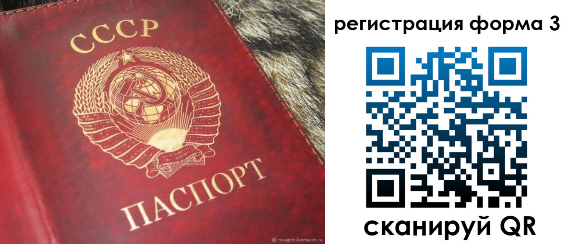 прописка регистрация в Родниках